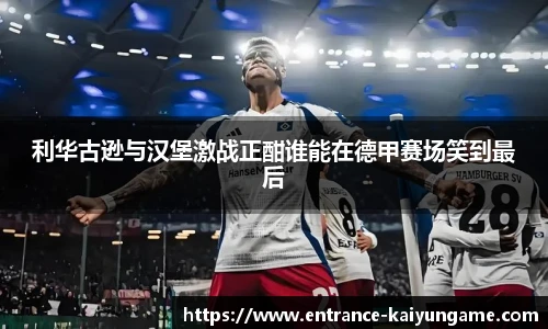 利华古逊与汉堡激战正酣谁能在德甲赛场笑到最后
